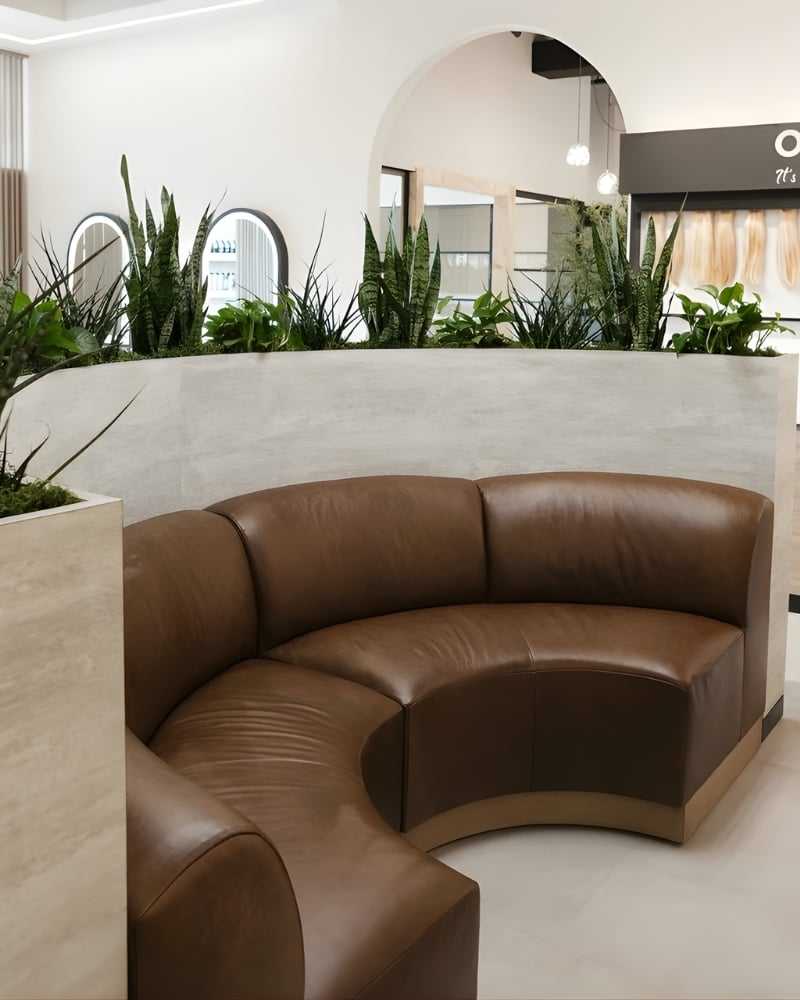 Modern lobby with a curved brown leather sofa and green plants for decoration.